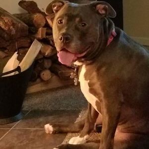 Meet your Posher, Raeann